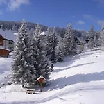 Lägenhetshotell Schwarzwald-hotel Kraeutle 3*