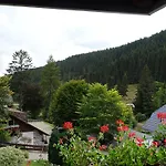 Schwarzwald-hotel Kraeutle 3*