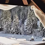 Lägenhetshotell Schwarzwald-hotel Kraeutle 3*