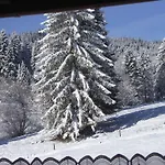 Lägenhetshotell Schwarzwald-hotel Kraeutle Feldberg (Baden-Wurttemberg)