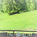 Lägenhetshotell Schwarzwald-hotel Kraeutle Feldberg (Baden-Wurttemberg)