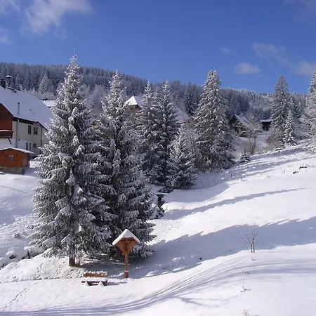 Hotel apartamentowy Schwarzwald-hotel Kraeutle 3*