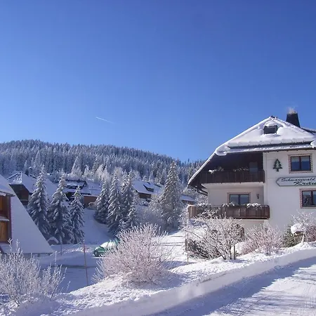 Schwarzwald-hotel Kraeutle فيلدبرج