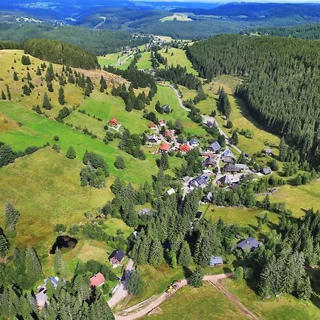 Hotel apartamentowy Schwarzwald-hotel Kraeutle 3*