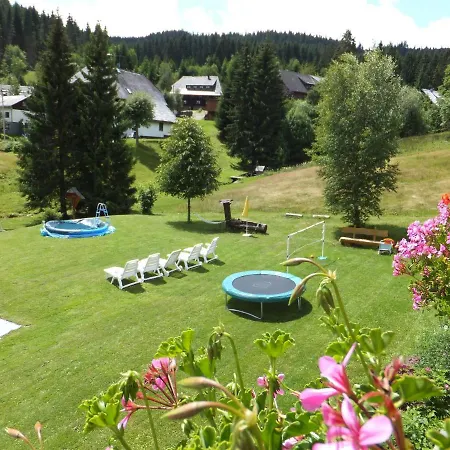 Schwarzwald-hotel Kraeutle アパートホテル フェルトベルク