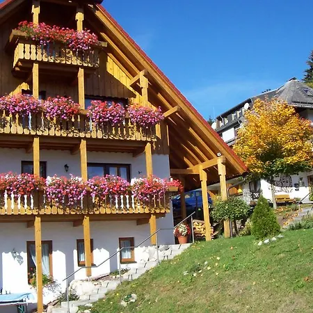 アパートホテル Schwarzwald-hotel Kraeutle フェルトベルク