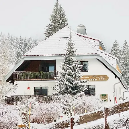 شقة فندقية Schwarzwald-hotel Kraeutle