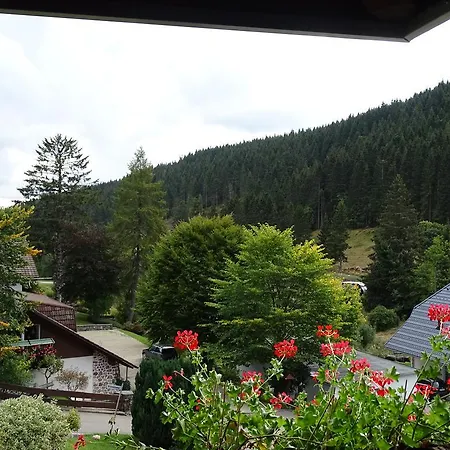 Schwarzwald-hotel Kraeutle 3*