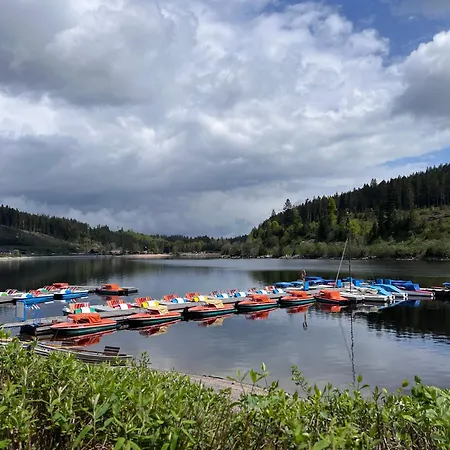 Schwarzwald Kräutle Aparthotel 3*