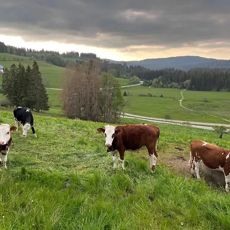 Aparthotel Schwarzwald Kräutle Feldberg (Baden-Wurttemberg)