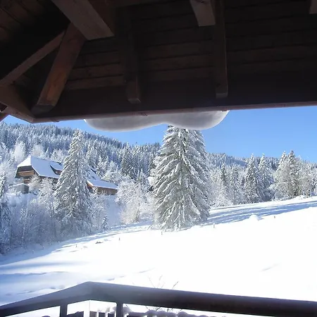 アパートホテル Schwarzwald-hotel Kraeutle