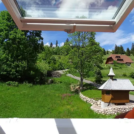 شقة فندقية Schwarzwald-hotel Kraeutle