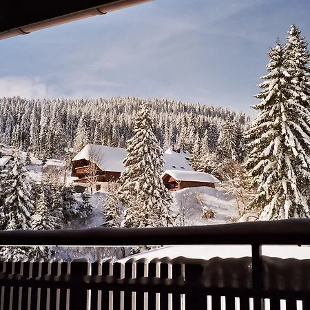 Schwarzwald-hotel Kraeutle 3* フェルトベルク