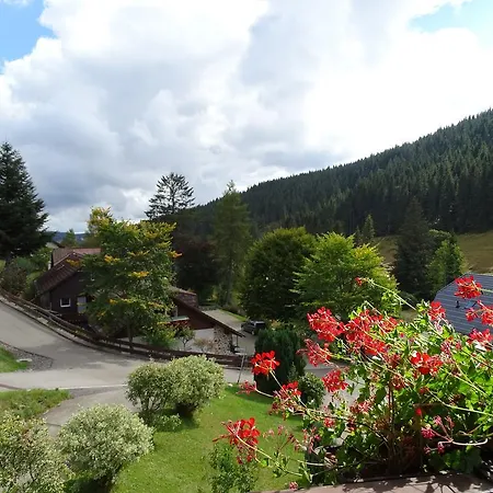 アパートホテル Schwarzwald-hotel Kraeutle