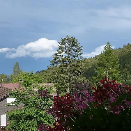 Hotel apartamentowy Schwarzwald-hotel Kraeutle