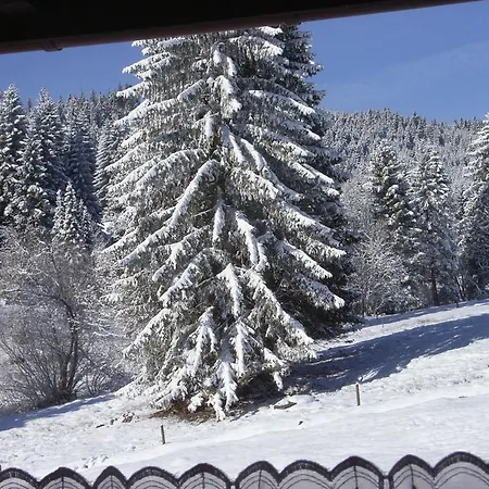 Hotel apartamentowy Schwarzwald-hotel Kraeutle Feldberg (Baden-Wurttemberg)