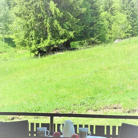 Aparthotel Schwarzwald-hotel Kraeutle Feldberg (Baden-Wurttemberg)