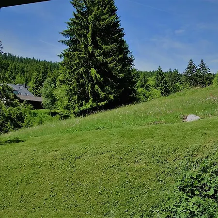 Aparthotel Schwarzwald-hotel Kraeutle 3*