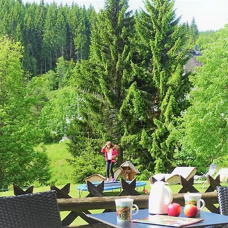 アパートホテル Schwarzwald-hotel Kraeutle