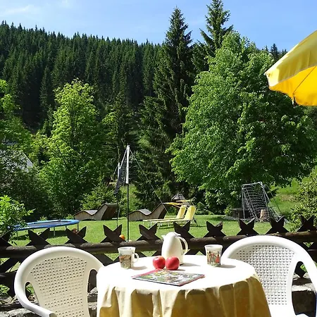 Schwarzwald-hotel Kraeutle