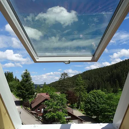 شقة فندقية Schwarzwald-hotel Kraeutle