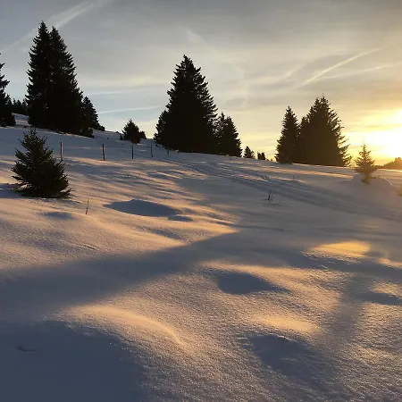 Schwarzwald-hotel Kraeutle アパートホテル フェルトベルク