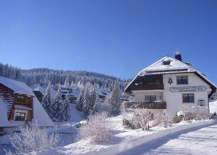 Schwarzwald-hotel Kraeutle פלדברג