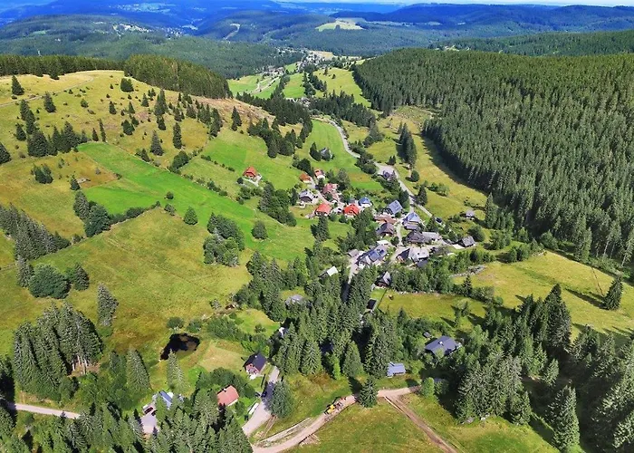 Aparthotel Schwarzwald-hotel Kraeutle 3*