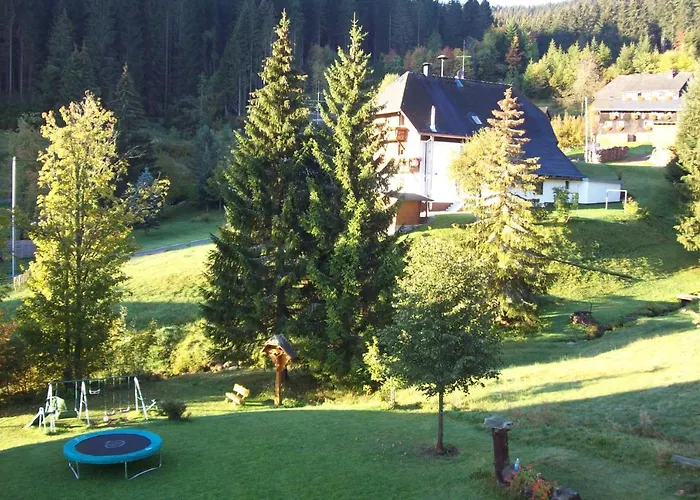 Schwarzwald-hotel Kraeutle Aparthotel Feldberg (Baden-Wurttemberg)