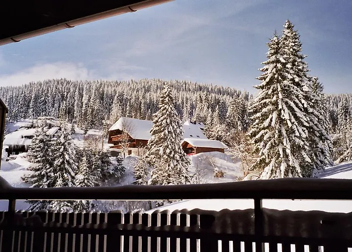 Schwarzwald-hotel Kraeutle 3* פלדברג