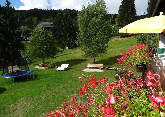 Schwarzwald-hotel Kraeutle מלון דירות פלדברג