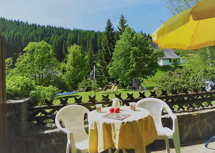 Schwarzwald-hotel Kraeutle