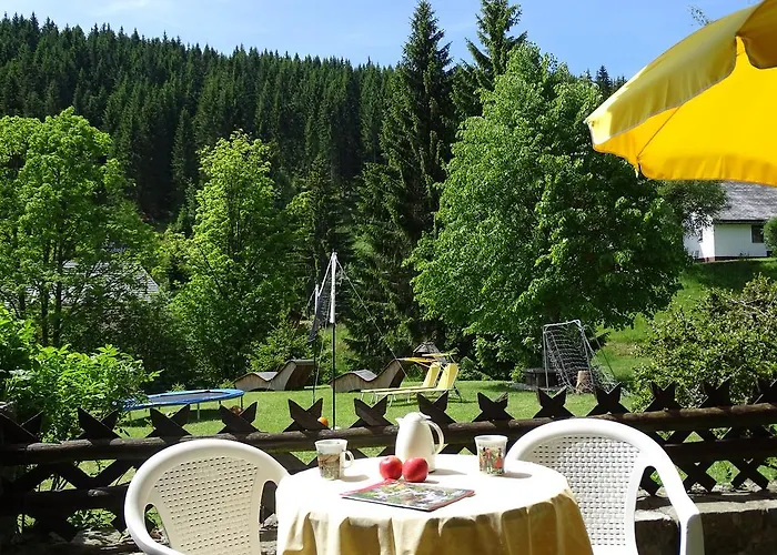 Schwarzwald-hotel Kraeutle