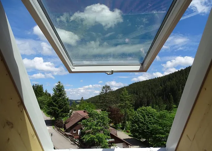 Aparthotel Schwarzwald-hotel Kraeutle